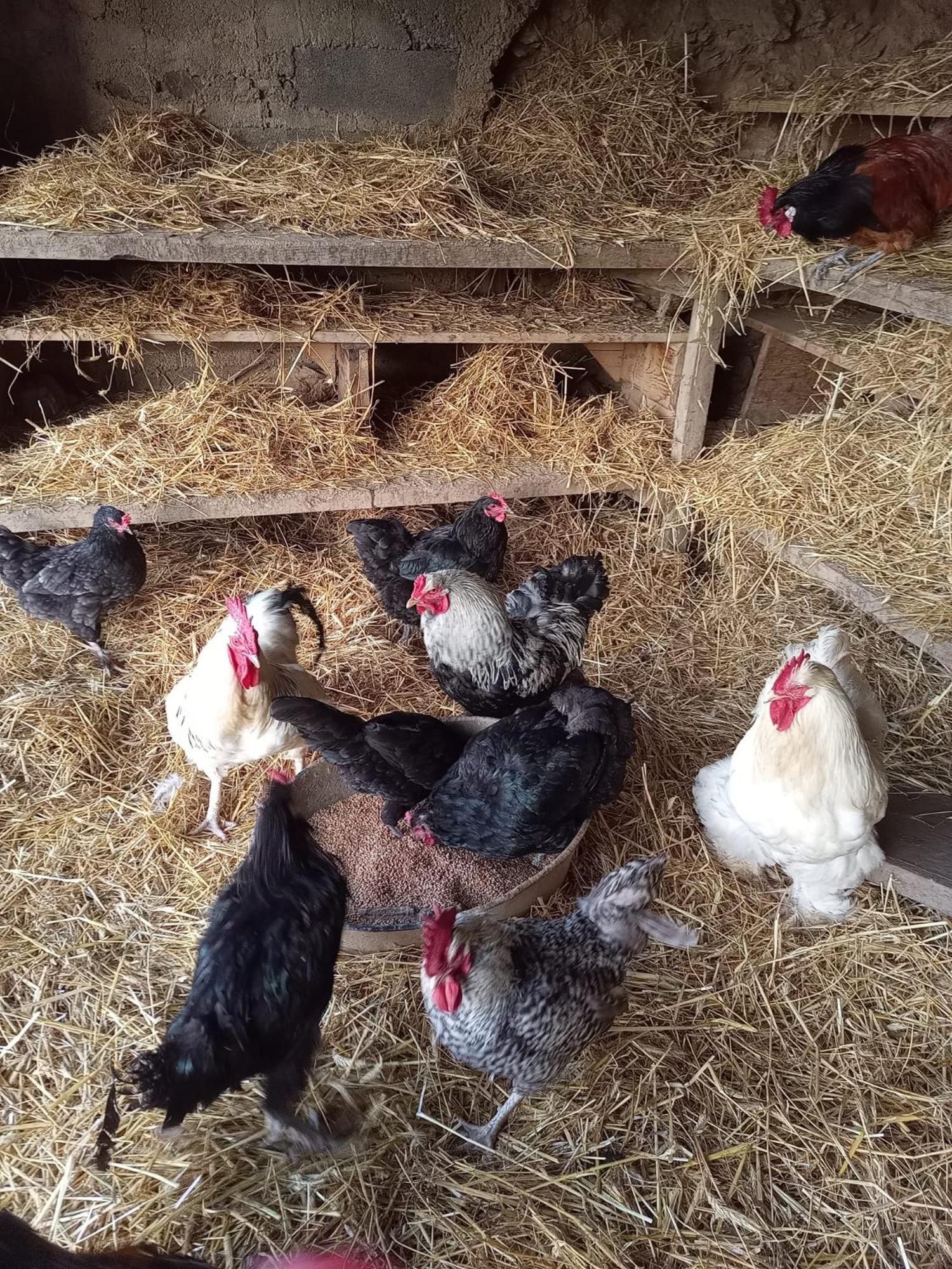 Готель La Ferme Des Cevennes Florac Екстер'єр фото