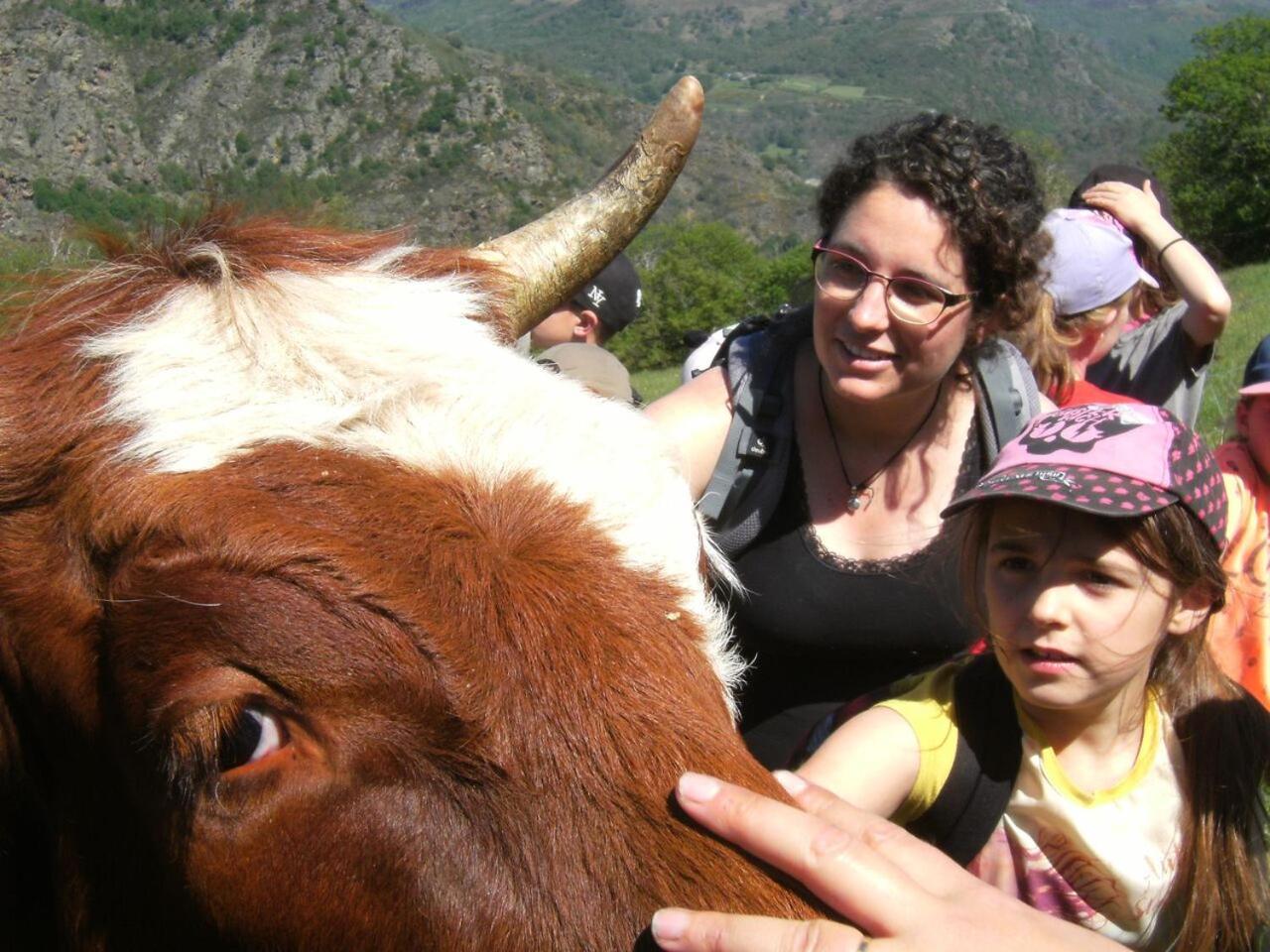 Готель La Ferme Des Cevennes Florac Екстер'єр фото