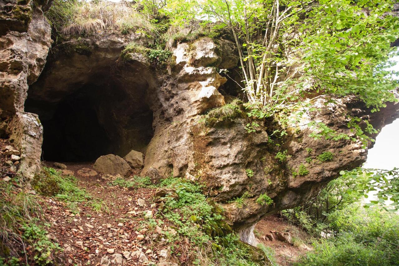 Готель La Ferme Des Cevennes Florac Екстер'єр фото
